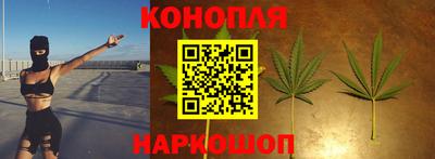 СК Сланцы