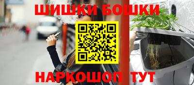 СК Сланцы