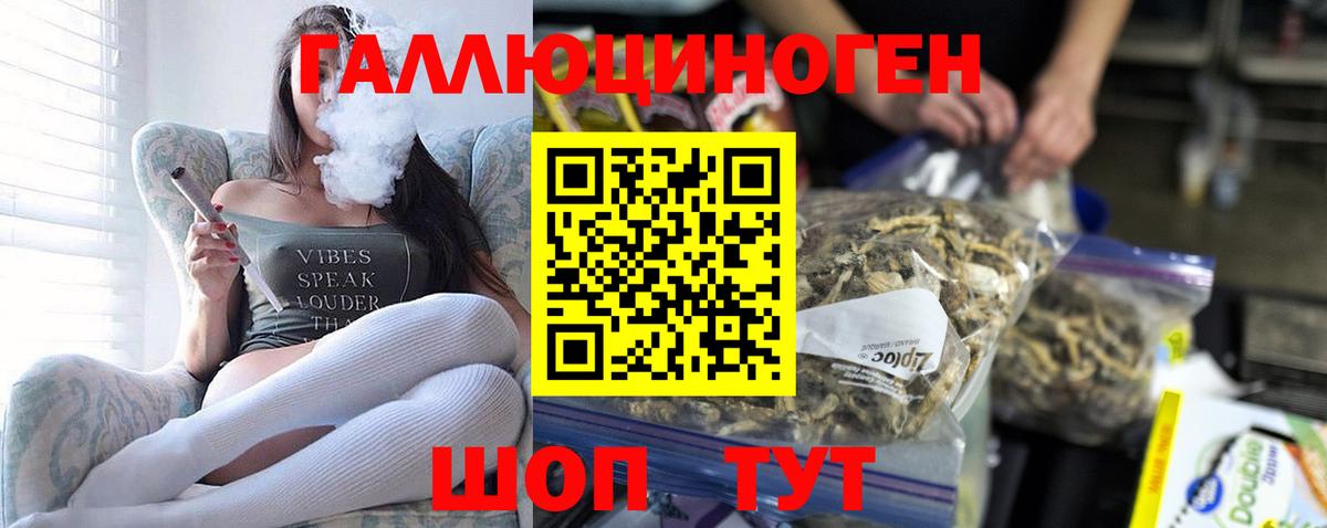 Ульяновск  Псилоцибиновые грибы MAGIC MUSHROOMS  Вход с VPN 